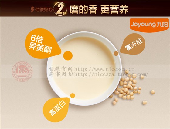 九阳110V伏出国专用多功能豆浆机DJ13U-D81SG