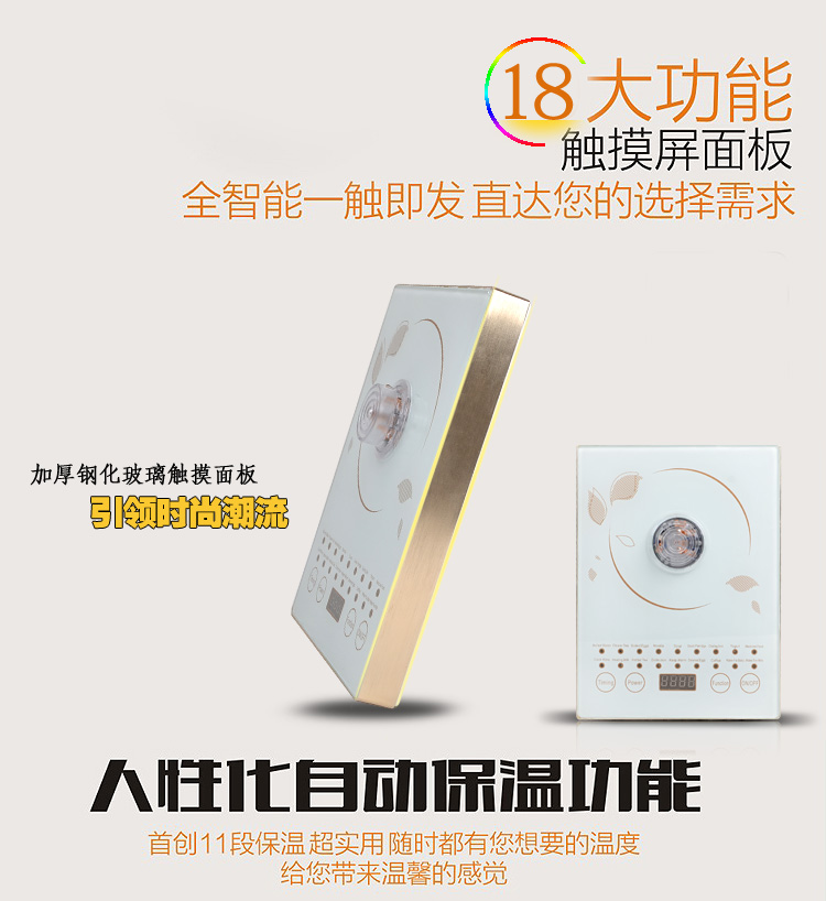 悦海110V60HZ养生壶出国专用多功能中药壶NSHP-18