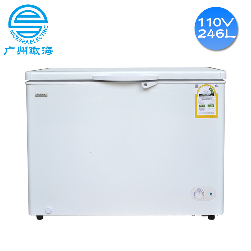 110V外贸船用冰柜246L